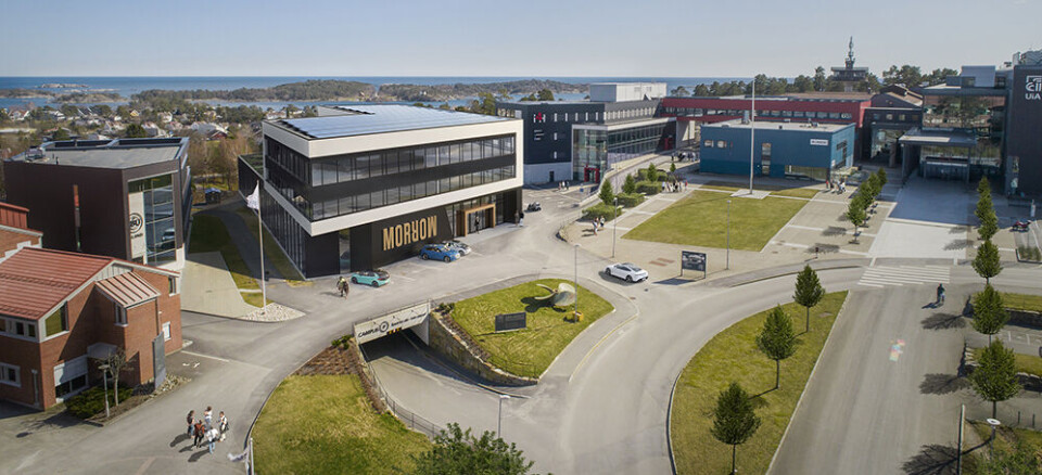 En illustrasjon av innovasjonssenteret i Grimstad, lokalisert ved siden av UiA. Illustrasjonen er utarbeidet av ENO Arkitekter, NOSLEEPTILLBROOKLYN, J.B. Ugland Eiendom, på oppdrag for Morrow Batteries.