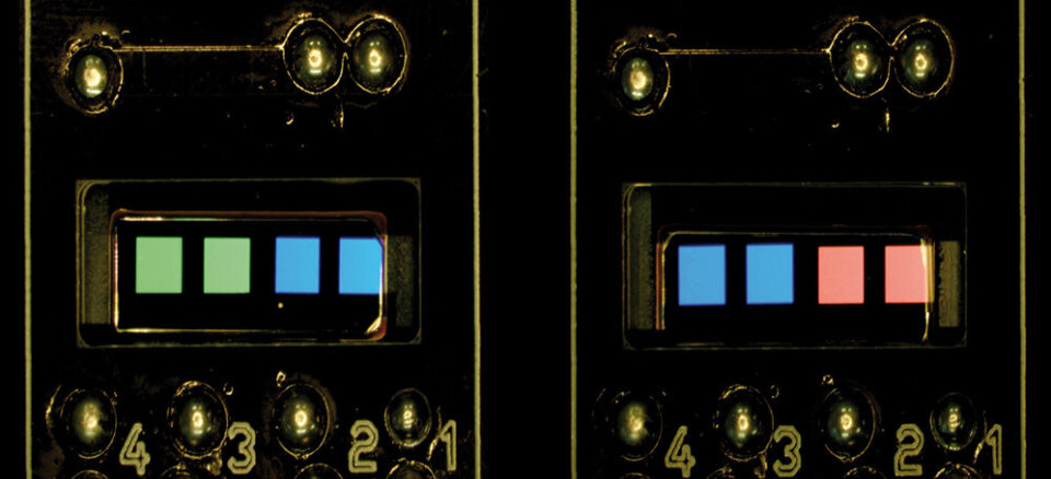 Test-OLED på silisiumsubstrat som er mønstret med elektronstrålebehandling. Foto: Fraunhofer FEP