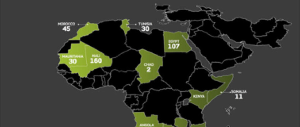Fremgang i Afrika
