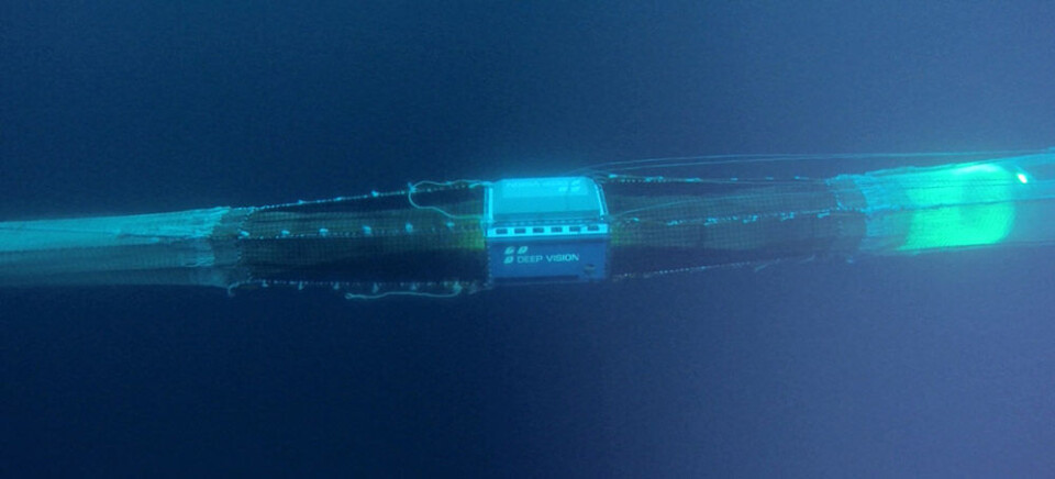 Deep Vision i trål: Deep Vision er nå tilgjengelig for salg i ”forskningsversjon”. En kommersiell versjon, som bl.a. skal gjøre det mulig å sortere fisk i trålen, skal være på markedet om et års tid. (Foto: Scantrol Deep Vision AS)
