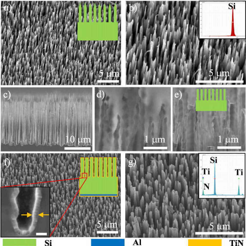 Figur 4: Silisiumgress utetset med dyp reaktiv ionetsing. Silisium stolpene er typisk noen 100 nanometer i tverrsnitt og typisk 10 mikrometer lange.