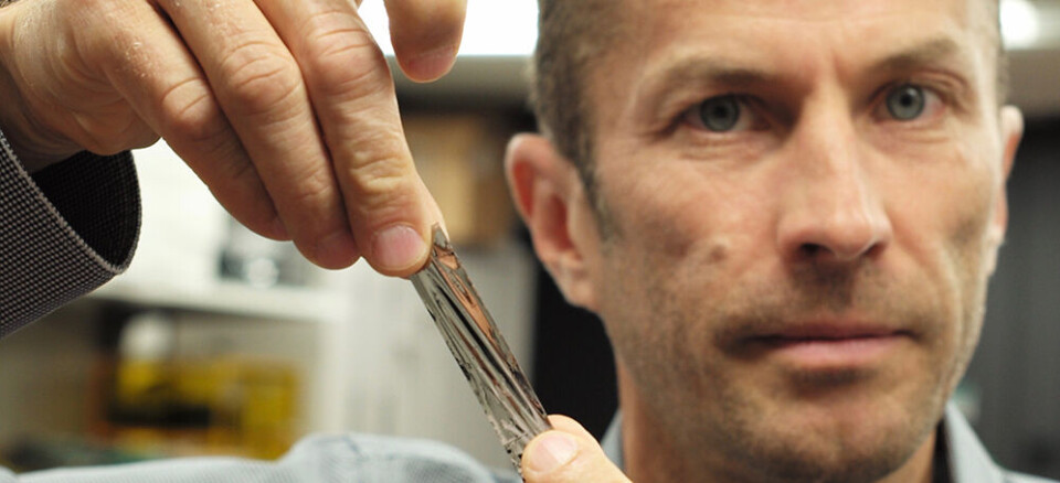 IBM-forsker, Dr. Mark Lantz, holder en bit på én kvadrattomme av det nye båndet fra Sony Storage Media Solutions. Biten kan lagre 201 Gitabyte som er ny verdensrekord. sputtered tape, which can hold 201 Gigabytes, a new world record. (Foto: IBM Research)