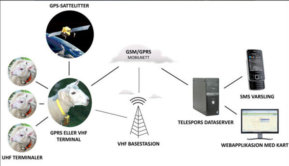 Telespor, som nå skal få sine produkter produsert hos NOTE, leverer utstyr for elektronisk sporing og overvåkning av dyr på beite, fortrinnsvis sau. (ill.: Telespor AS)