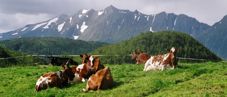 Agrikjøp inngår rammeavtale med Telenor. Foto: Landbrukssamvirket.
