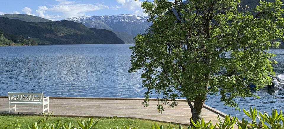 Ulvik i Hardanger. Foto: Bjørn Ø Andersen