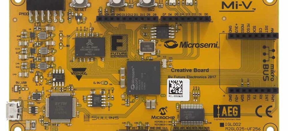 Økosystem for Risc-V