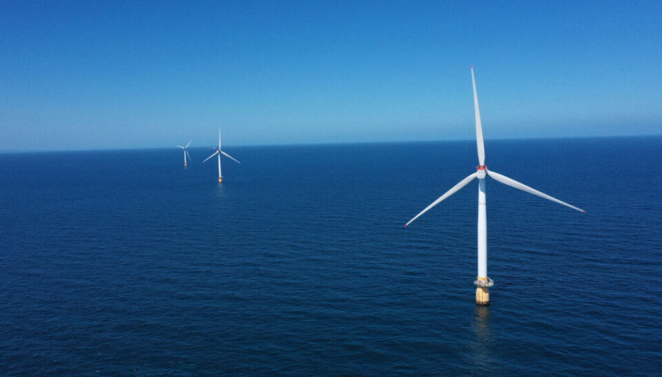 Er havvind løsningen for klimakrisen