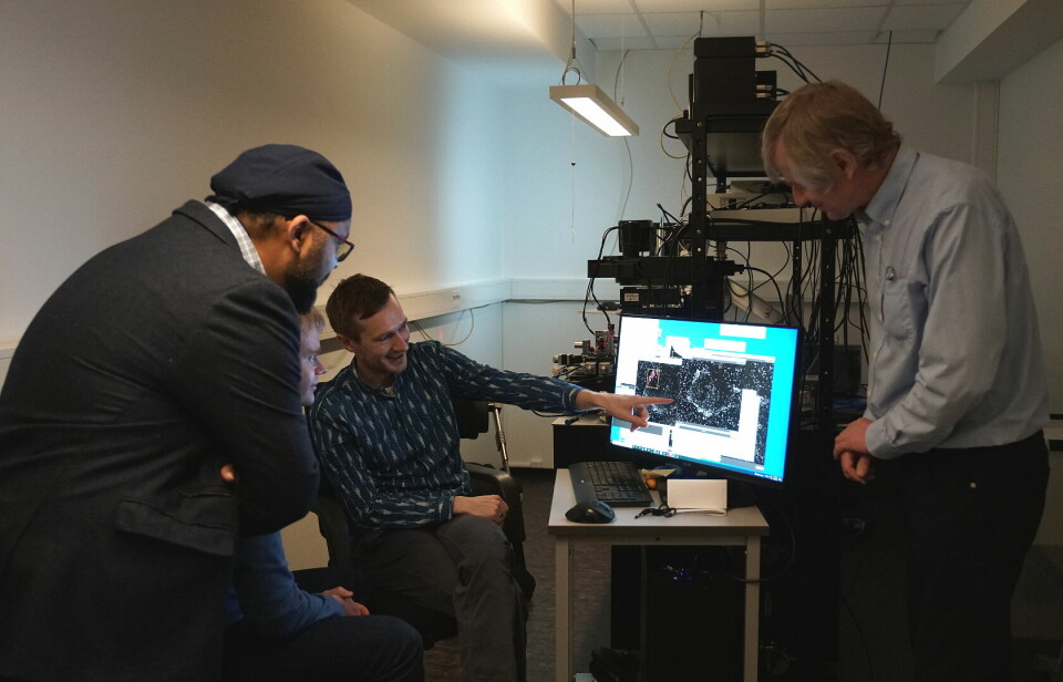 SUPERFORSTØRRING: Ahluwalia og kollegaene studerer et nanoskopi-bilde.