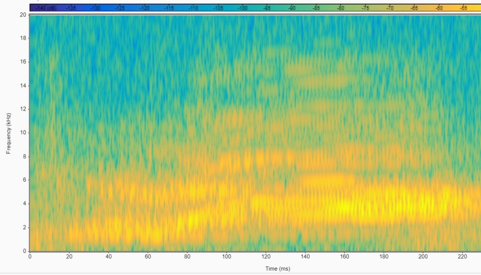 Spektrogram av en gris som uttrykker positive følelser. Foto: Universitetet i Agder.