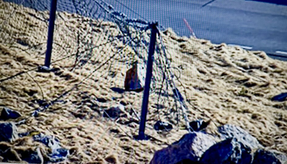 Bildene fra overvåkingssystemet viser at en av steinene ble stoppet av fangnettet. En annen nådde veibanen.