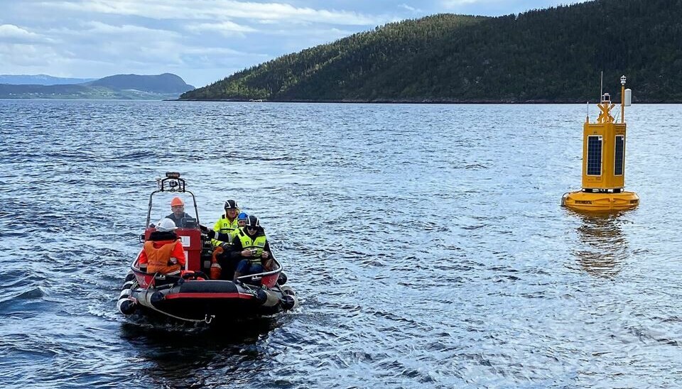 Dette er den andre av to nye observasjonsbøyer som nå er på plass. De to skal hente havmiljødata fra Trondheimsfjorden. Foto: Emlyn John Davies/SINTEF Dette er den andre av to nye observasjonsbøyer som nå er på plass. De to skal hente havmiljødata fra Trondheimsfjorden. Foto: Emlyn John Davies/SINTEF