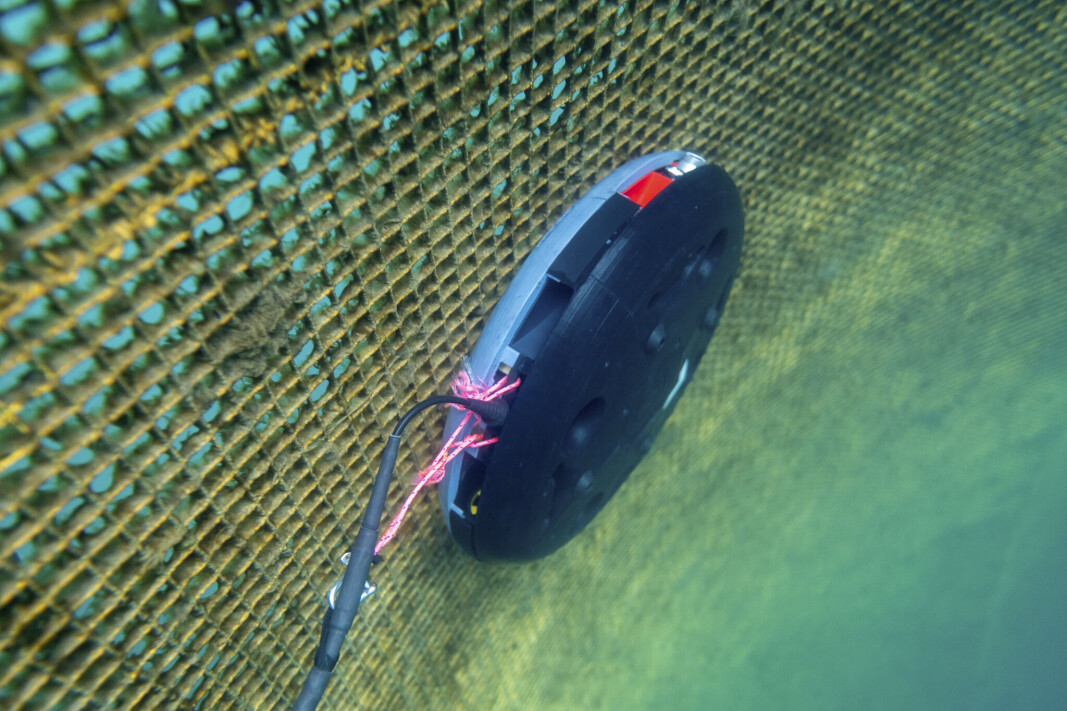Prototype av den autonome undervannsdronen (AUV) Probot «flyr» fritt i laksemerden og er i stand til å både rengjøre noten, detektere hull og gjøre mange andre oppgaver – og «vet» til enhver tid hvor den befinner seg. Prototype av den autonome undervannsdronen (AUV) Probot «flyr» fritt i laksemerden og er i stand til å både rengjøre noten, detektere hull og gjøre mange andre oppgaver – og «vet» til enhver tid hvor den befinner seg.