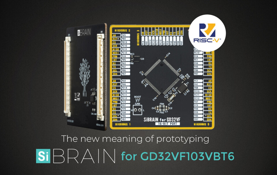 Rimelig evaluering av RISC-V MCU