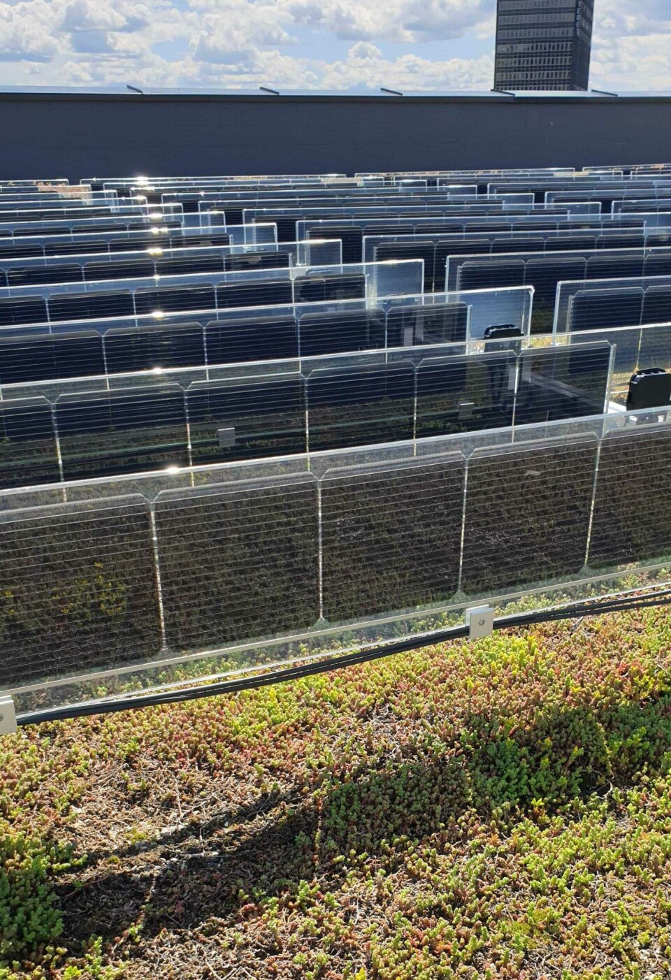 De vertikalstilte solcellepanelene kan lett kombineres med «grønne tak», ettersom de ikke dekker plantene. De vertikalstilte solcellepanelene kan lett kombineres med «grønne tak», ettersom de ikke dekker plantene.