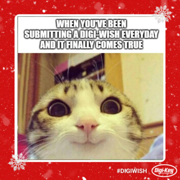 Digi-Wish' maskot. Digi-Wish' maskot.