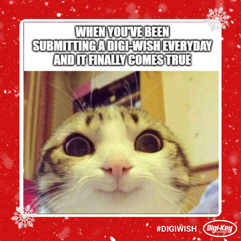Digi-Wish' maskot.
