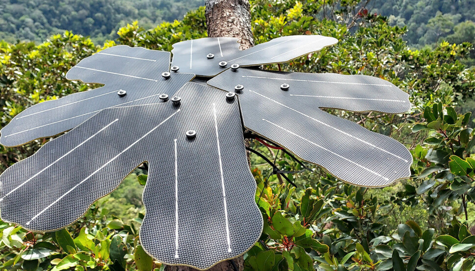 Såkalte Guardian-enheter drevet av solenergi overfører live lydopptak fra regnskoger. Kunstig intelligens brukes til å analysere dataene, og f.eks. oppdage lyder av trusler.