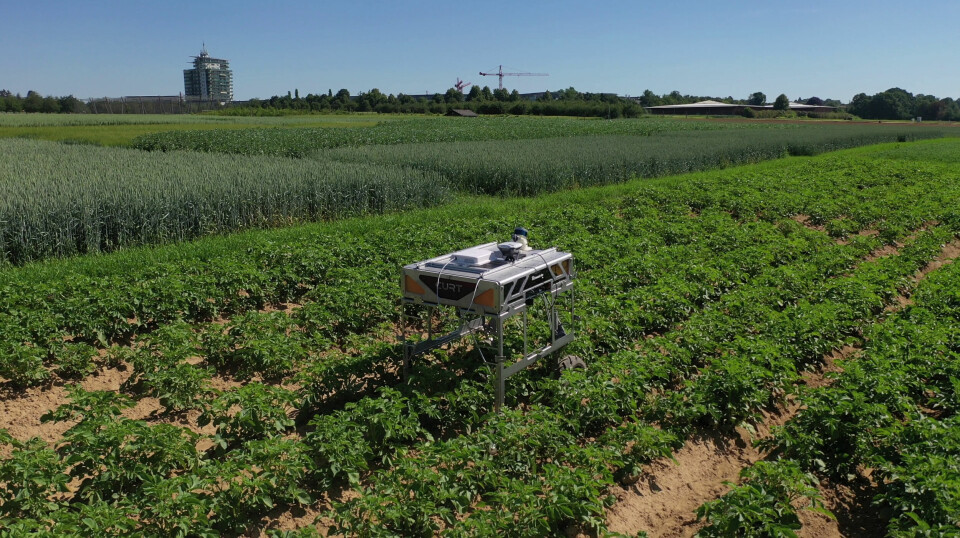 Den store roboten med navnet CURTdiff kan autonomt gjenkjenne og bevege seg langs rader med avlinger, som eksempel. På denne måten kan den potensielt brukes til ugrasbekjempelse i fremtiden. Kilde: Fraunhofer IPA