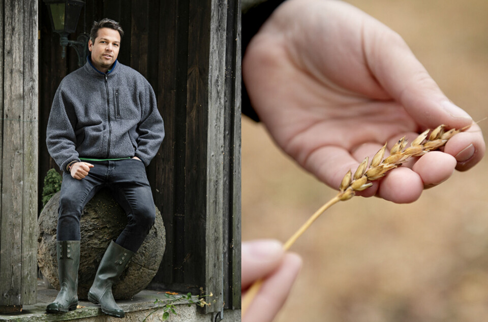 Nils Helset, gründer og CEO i DigiFarm. DigiFarm bruker kunstig intelligens (KI) og superdatamaskiner til å effektivisere landbruk og overvåke naturskader.