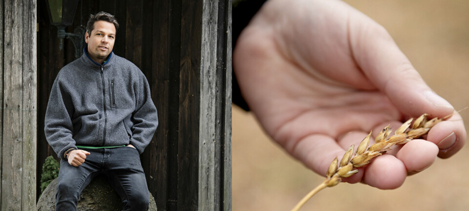 Kunstig intelligens løser landbruksutfordringer