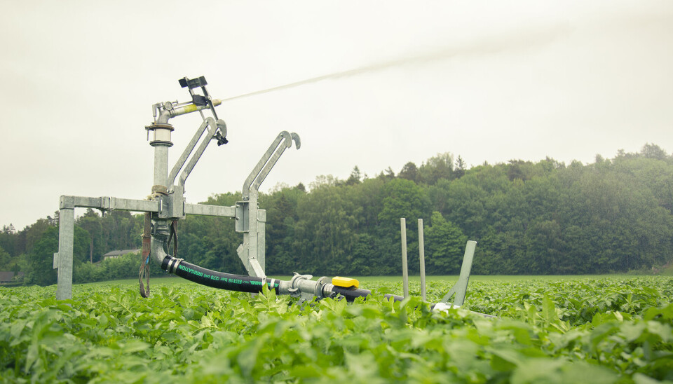 7Sense Irrigation Sensor i bruk.
