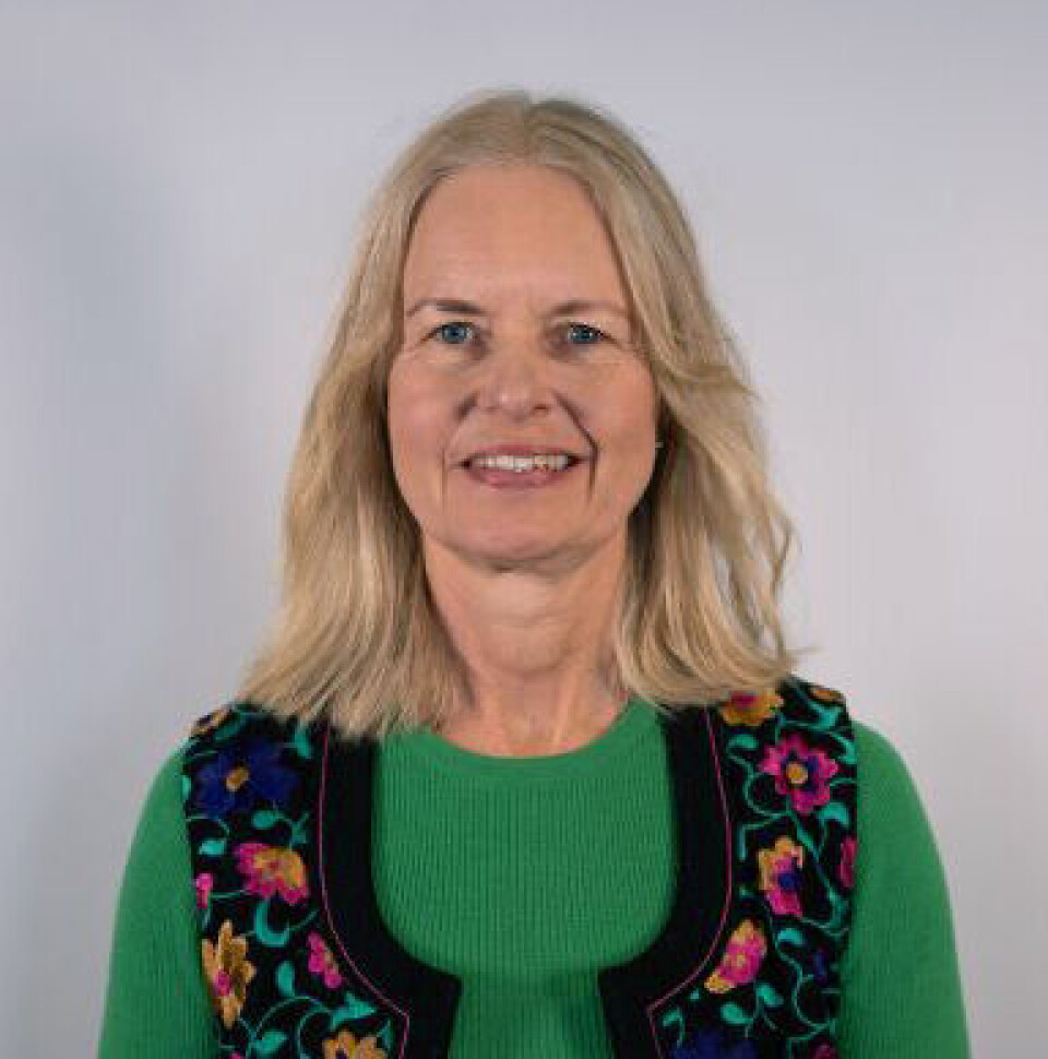 Senioringeniør i Patentstyret, Elen Margrethe Brendeford.