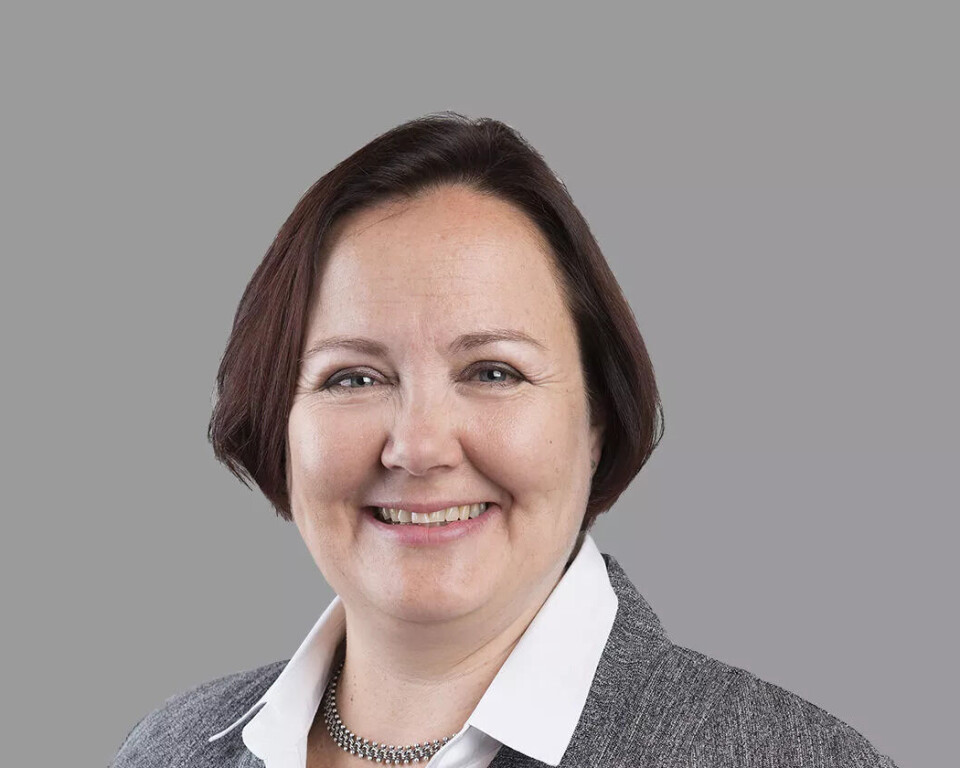 Anna-Riikka Vuorikari-Antikainen, Okmetic